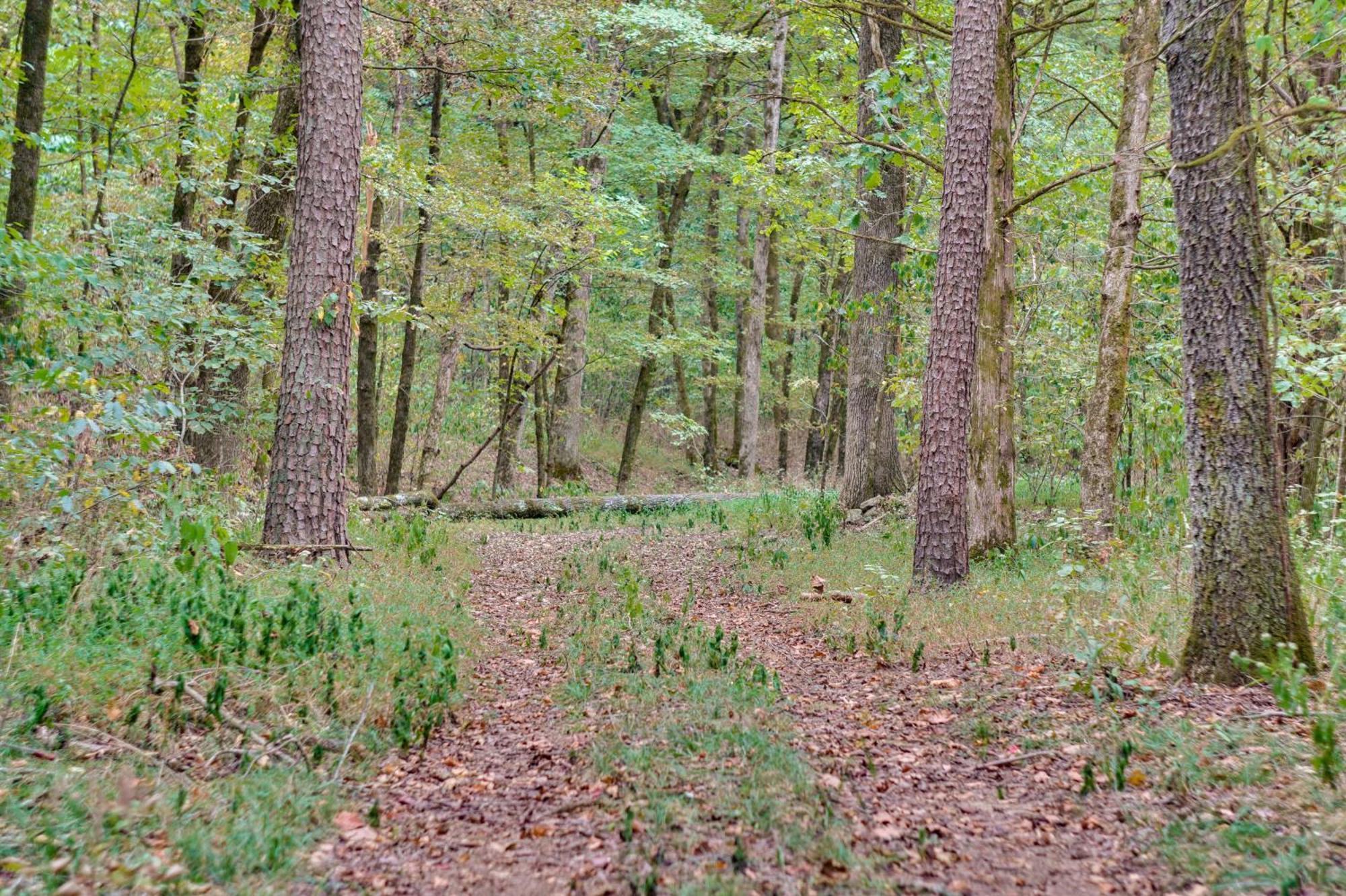 Ozark Mountain Cabin Rental On 300-Acre Ranch Kültér fotó